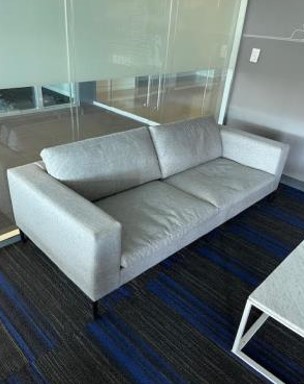 Light Gray Couch