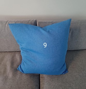 Pillow, blue