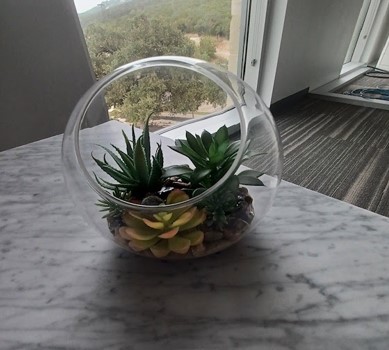 Terrarium