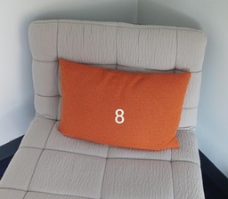 [#00-153] Pillow, orange