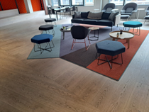 Rug, Multi-Colour, 5500x4500