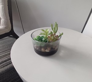 Glass planter