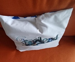 [#00-189] Pillow, Indeed